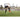 Soccer player kicks ball on field during practice in outdoor sports complex