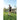 Boy practices golf with a club and ball on the lawn in a backyard patio area