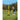 Young boy swings at a baseball attached to a pole with a bat outdoors in a grassy field