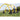 Yellow agility hurdles are set up on a grassy field for training or exercise outdoors