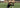 Baseball Equipment