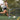 Women kicking soccer ball 