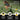 Speed Gates Pro