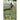 Trainer adjusts agility ladder on grass during outdoor sports practice with players in background