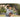 Young baseball athlete throwing SKLZ Throwing Plyo Ball in residential backyard.