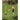 Child swings bat at ball attached to tee on grassy field outdoors