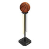 Basketball Dribble Trainer with basketball on top